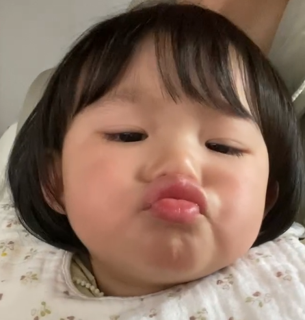 嘟嘟嘟嘟~